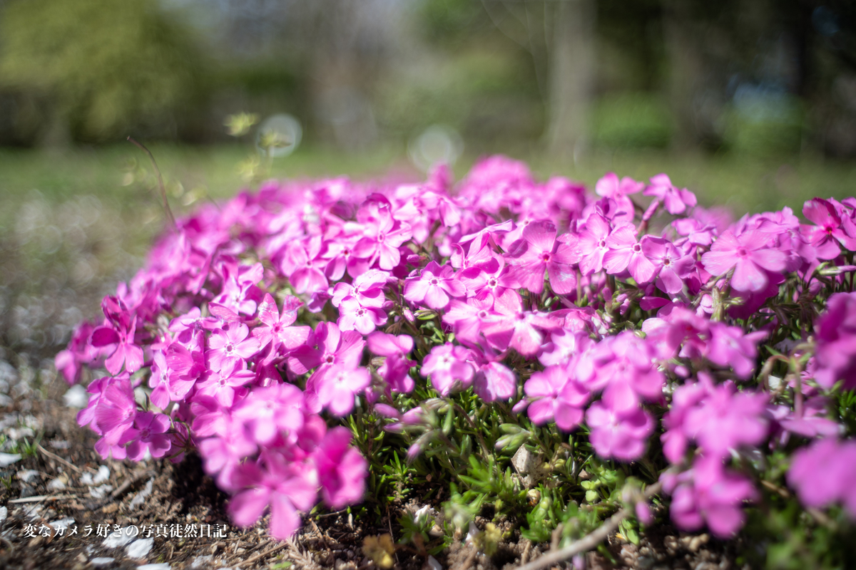 f:id:yuseiphotos:20200527144310j:plain