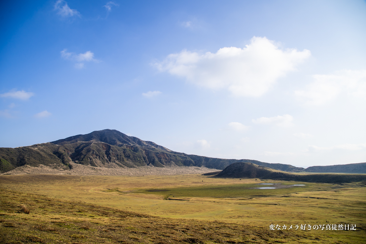 f:id:yuseiphotos:20200706230744j:plain
