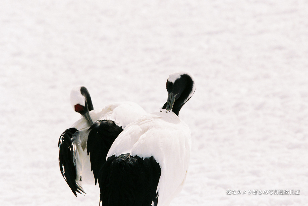 f:id:yuseiphotos:20200711035637j:plain