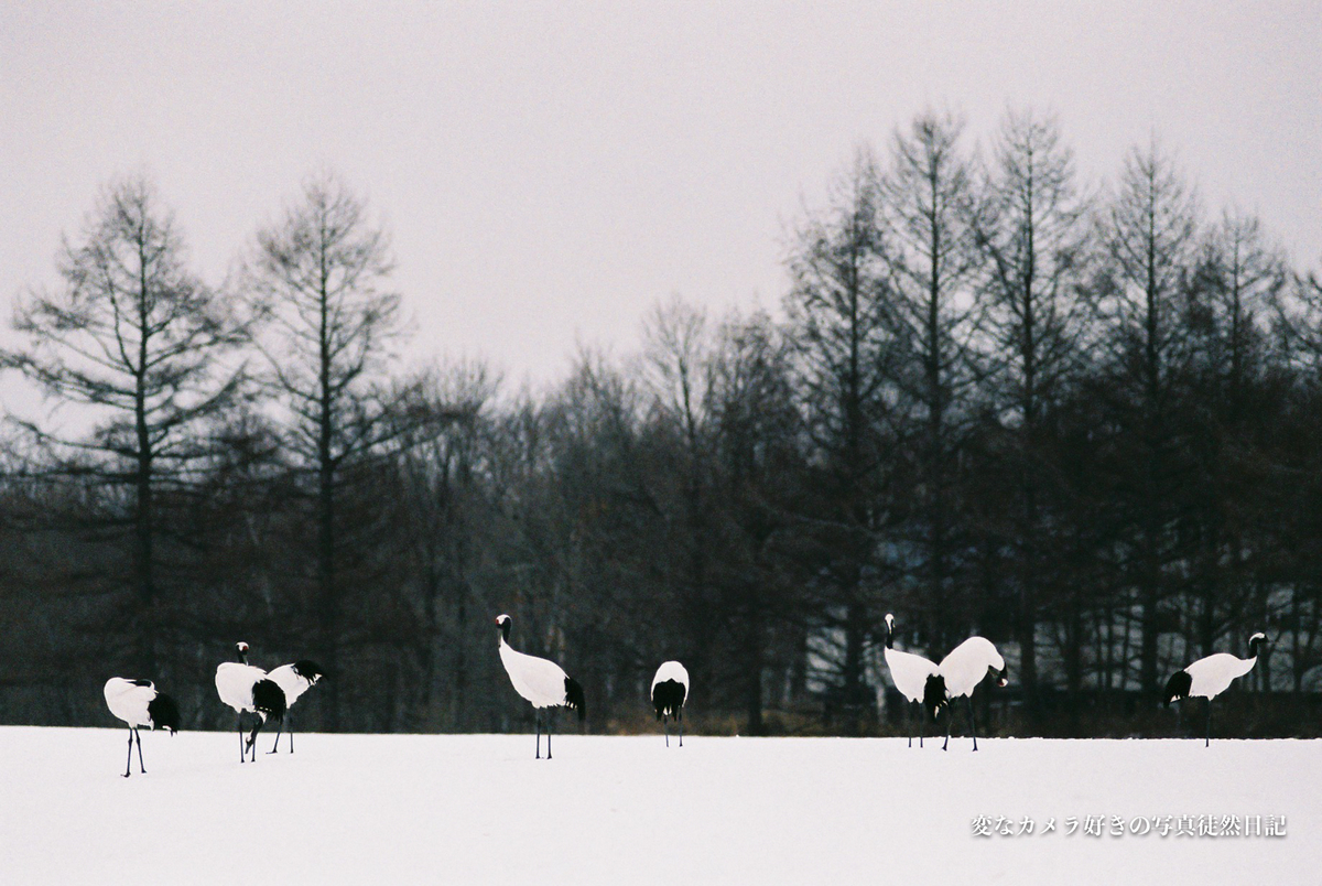 f:id:yuseiphotos:20200711035757j:plain