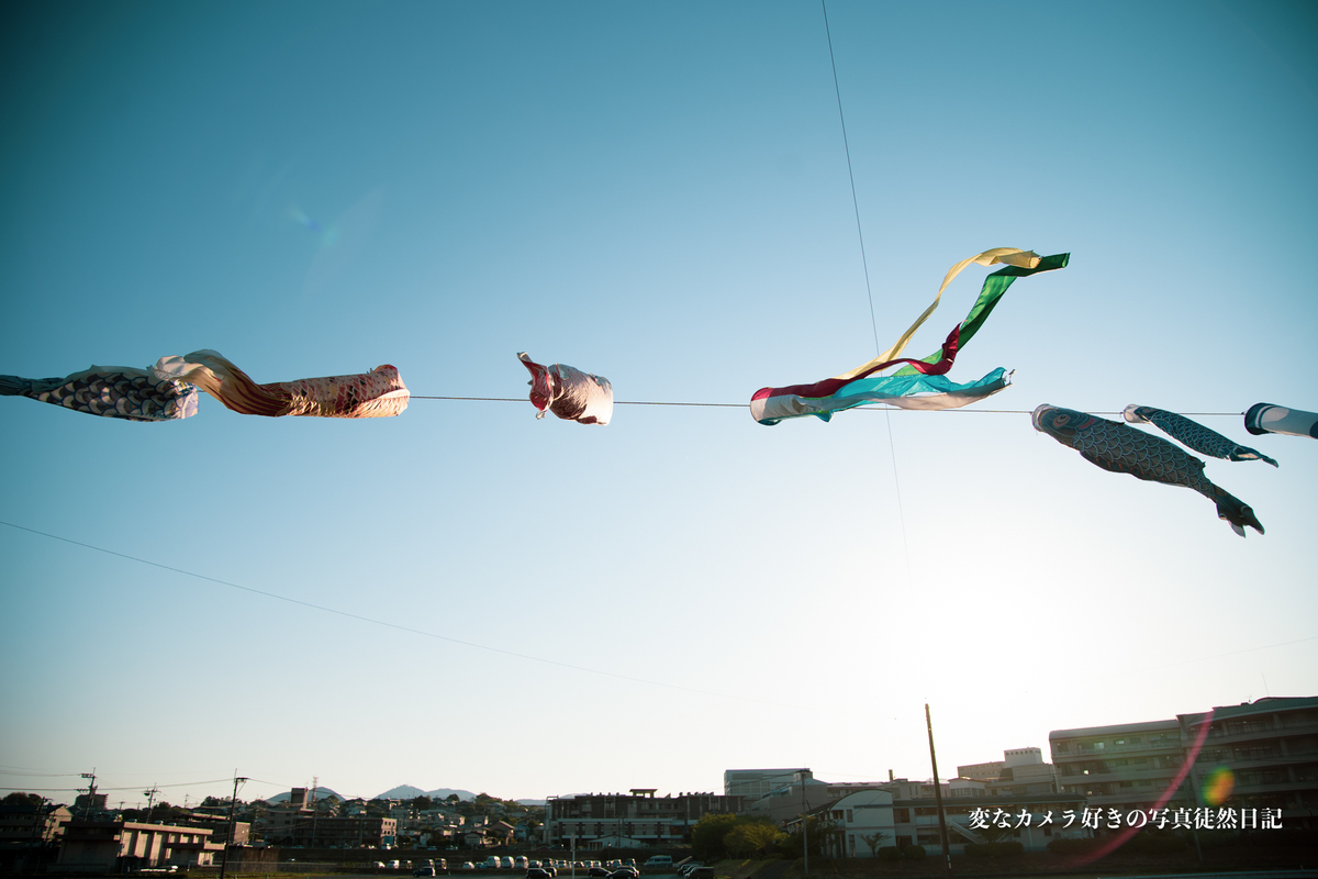 f:id:yuseiphotos:20200712170625j:plain