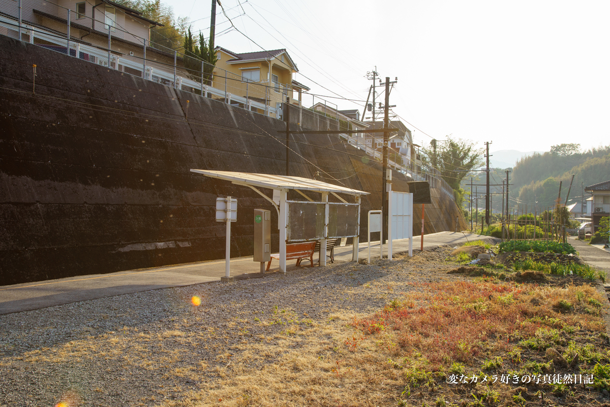 f:id:yuseiphotos:20200712221019j:plain