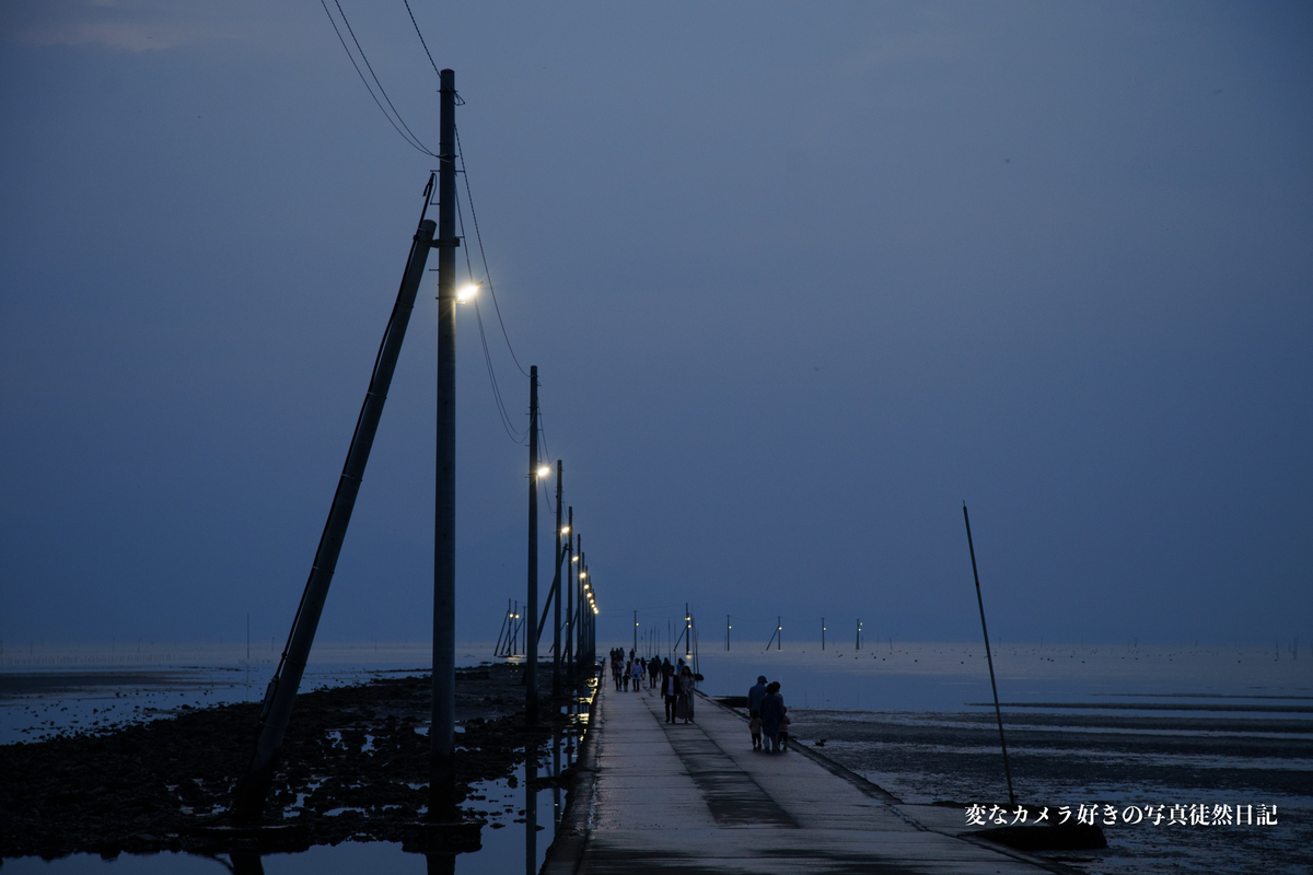f:id:yuseiphotos:20200714011911j:plain f:id:yuseiphotos:20200714011911j:plain