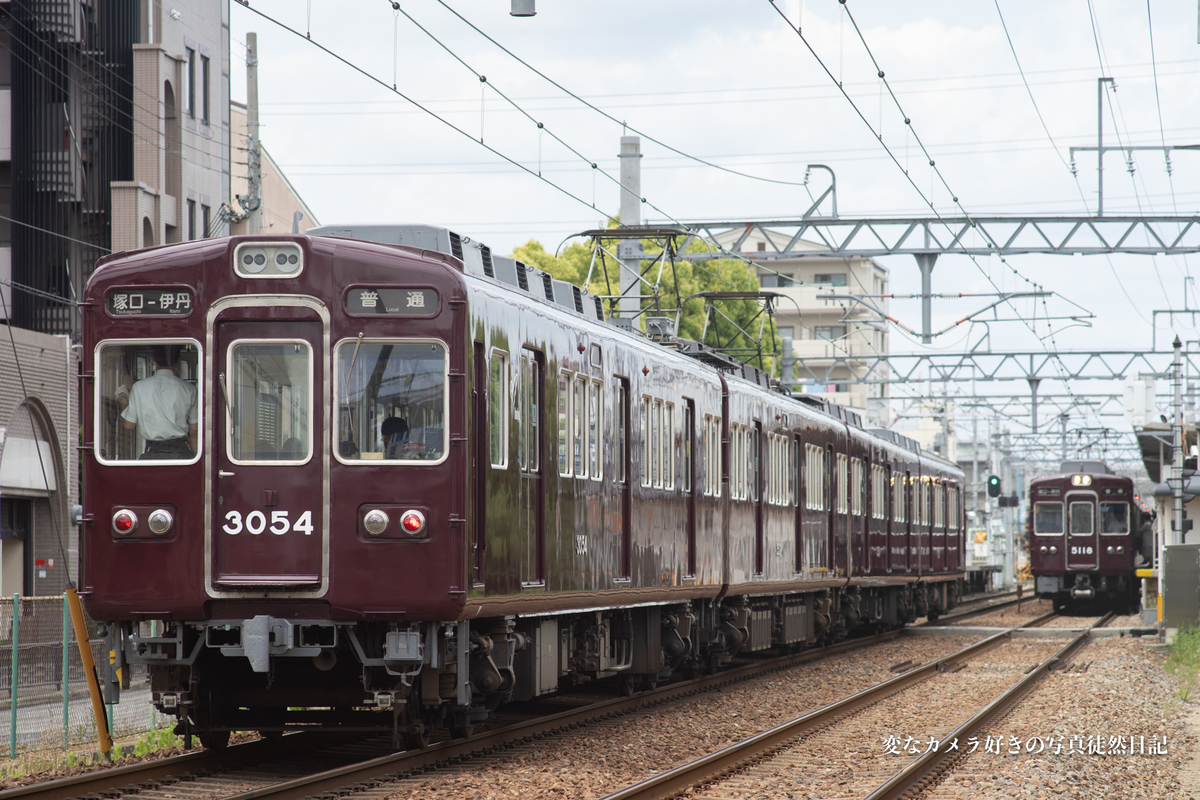f:id:yuseiphotos:20200719145617j:plain