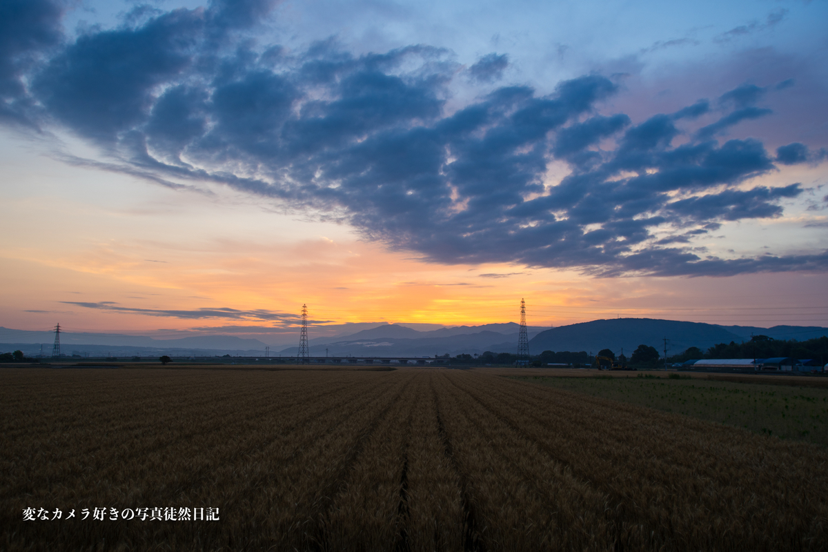 f:id:yuseiphotos:20200723063938j:plain