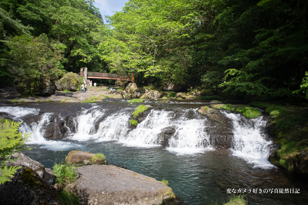 f:id:yuseiphotos:20200723080455j:plain