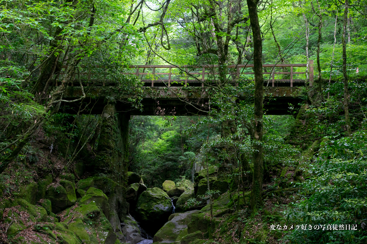 f:id:yuseiphotos:20200723080535j:plain