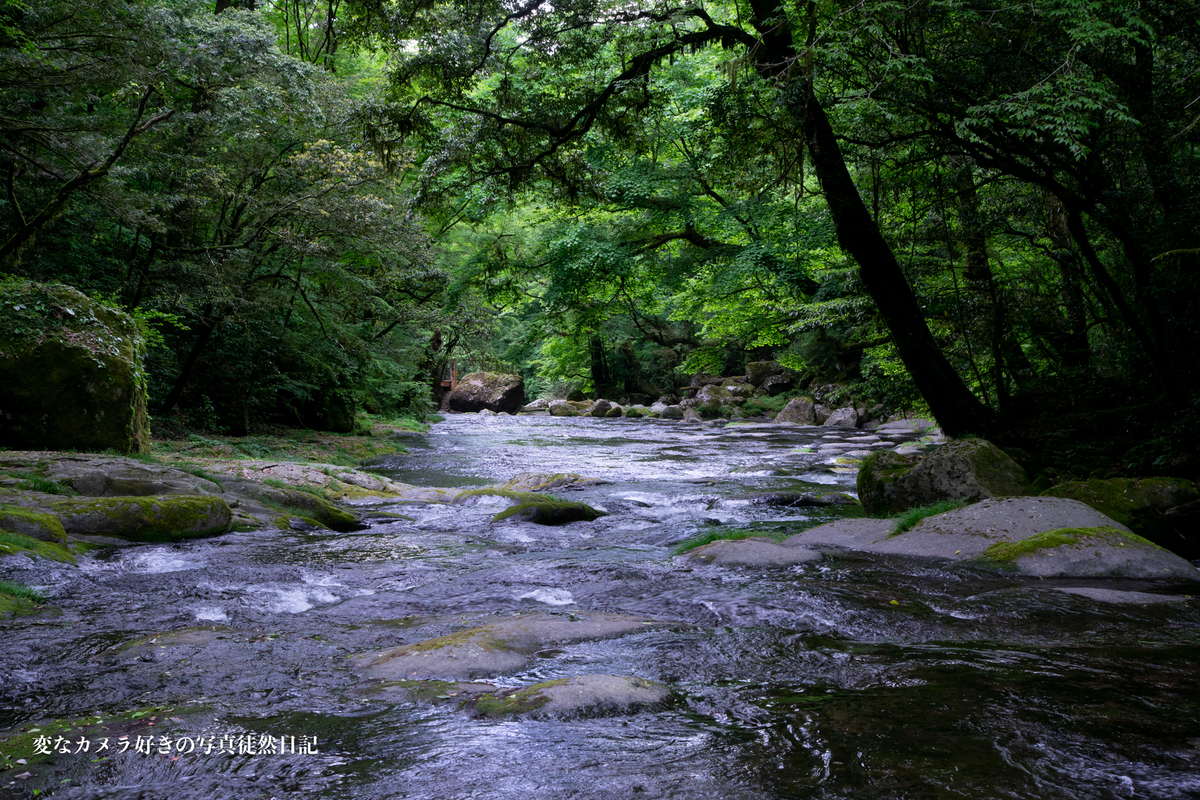 f:id:yuseiphotos:20200723080544j:plain