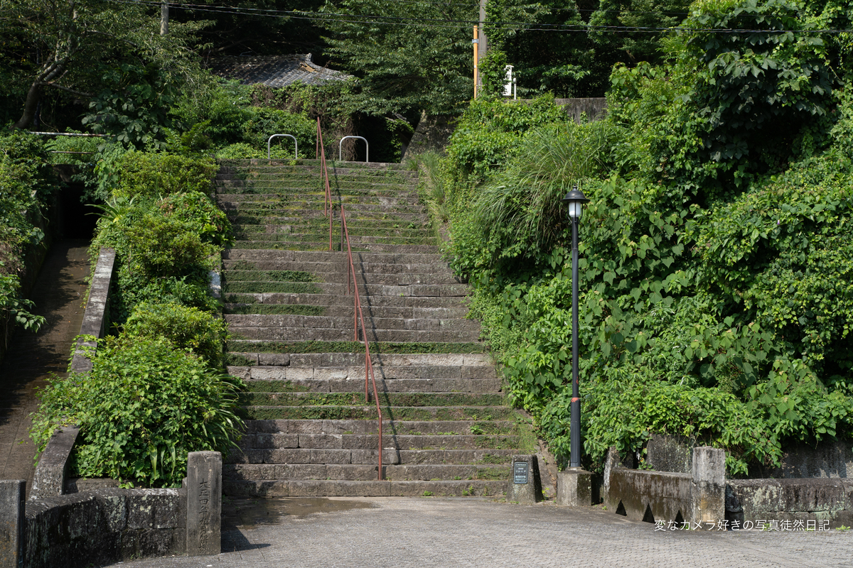 f:id:yuseiphotos:20200814212901j:plain f:id:yuseiphotos:20200814212901j:plain
