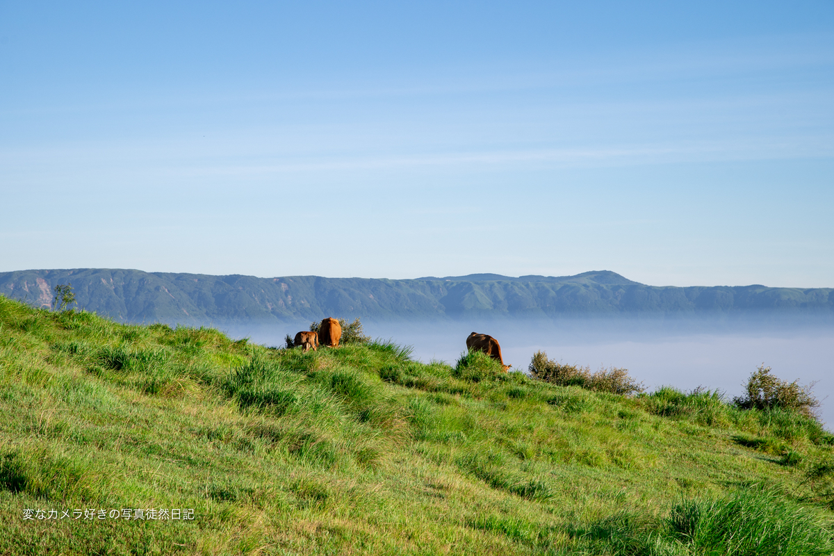 f:id:yuseiphotos:20200903035740j:plain f:id:yuseiphotos:20200903035740j:plain