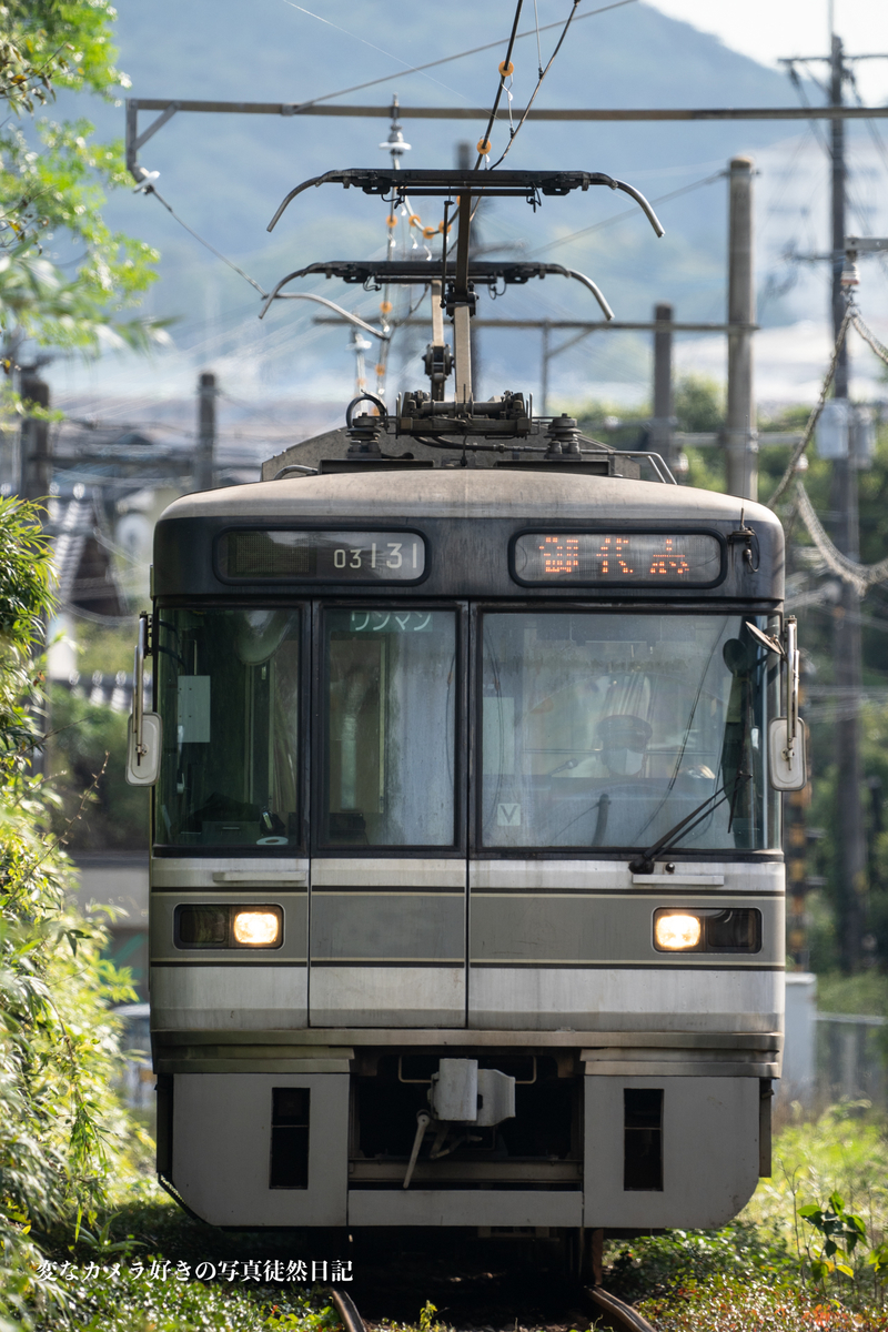 f:id:yuseiphotos:20201108001000j:plain