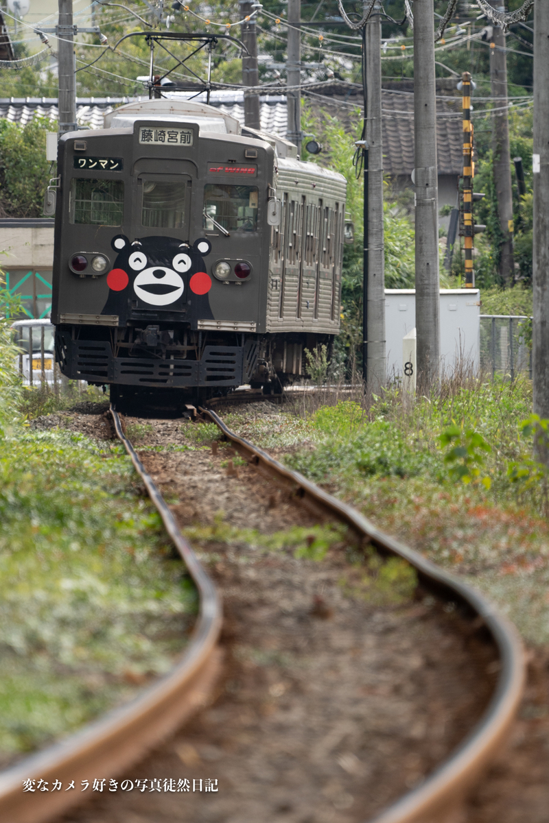 f:id:yuseiphotos:20201108001023j:plain