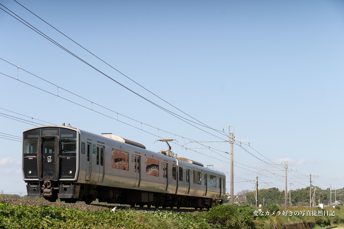 f:id:yuseiphotos:20201119011733j:plain