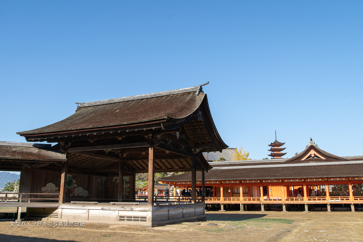 f:id:yuseiphotos:20201217223510j:plain
