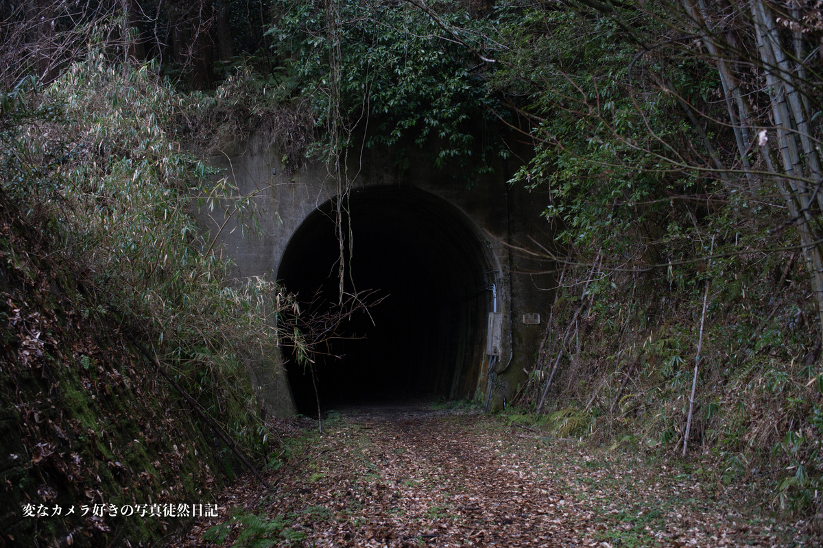 f:id:yuseiphotos:20210302105408j:plain