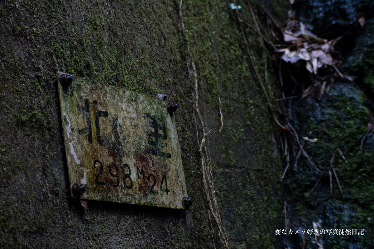 f:id:yuseiphotos:20210305022019j:plain