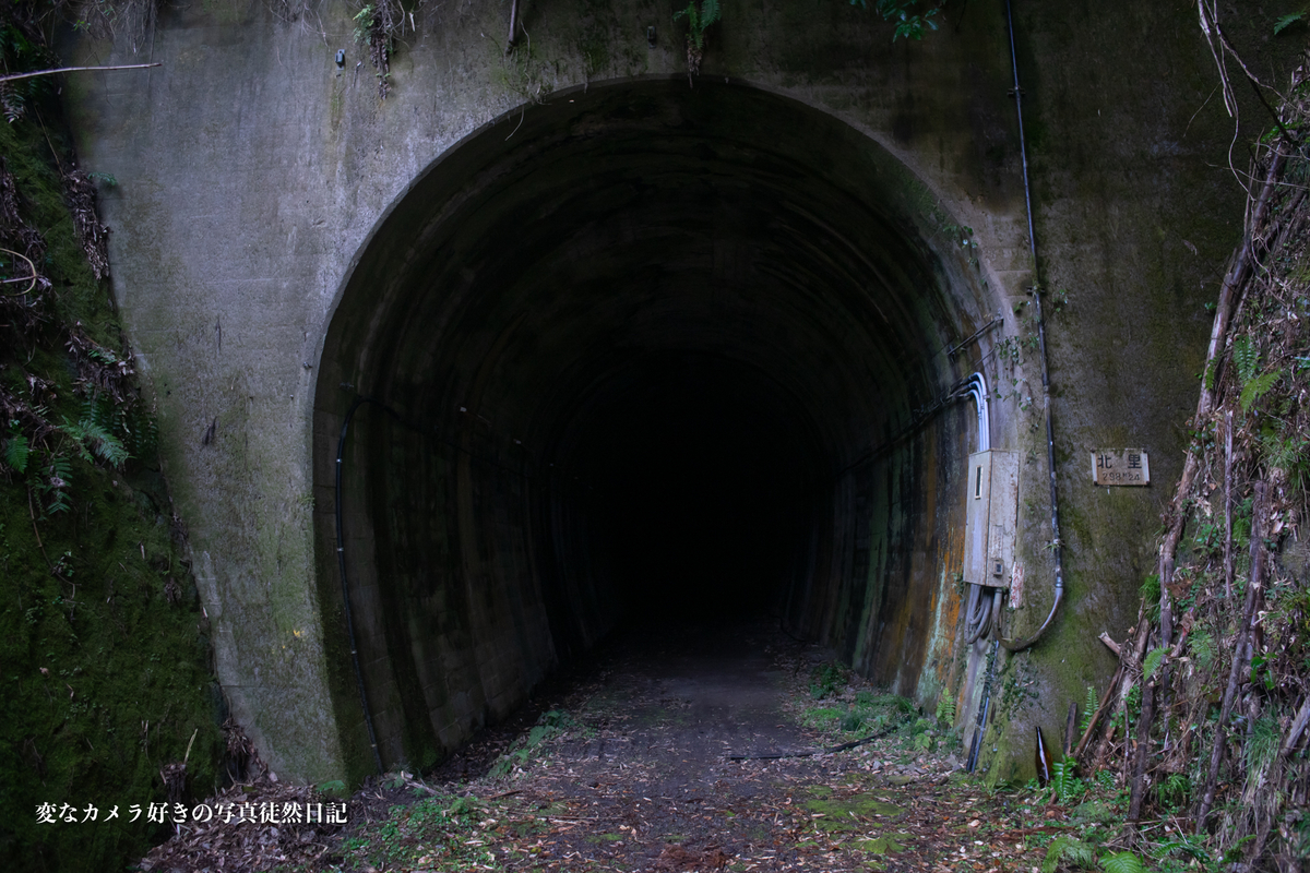 f:id:yuseiphotos:20210305030744j:plain