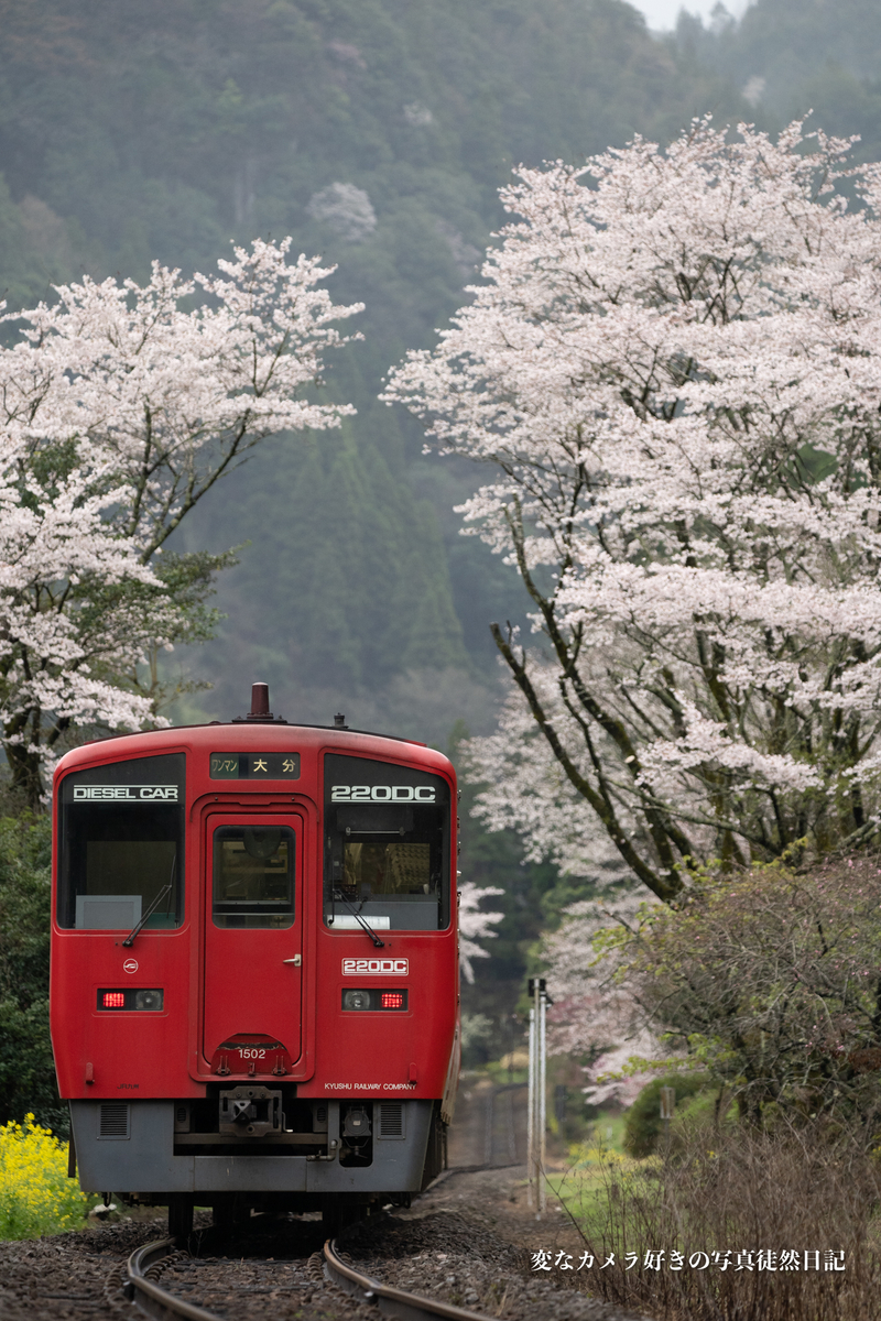f:id:yuseiphotos:20210331024531j:plain
