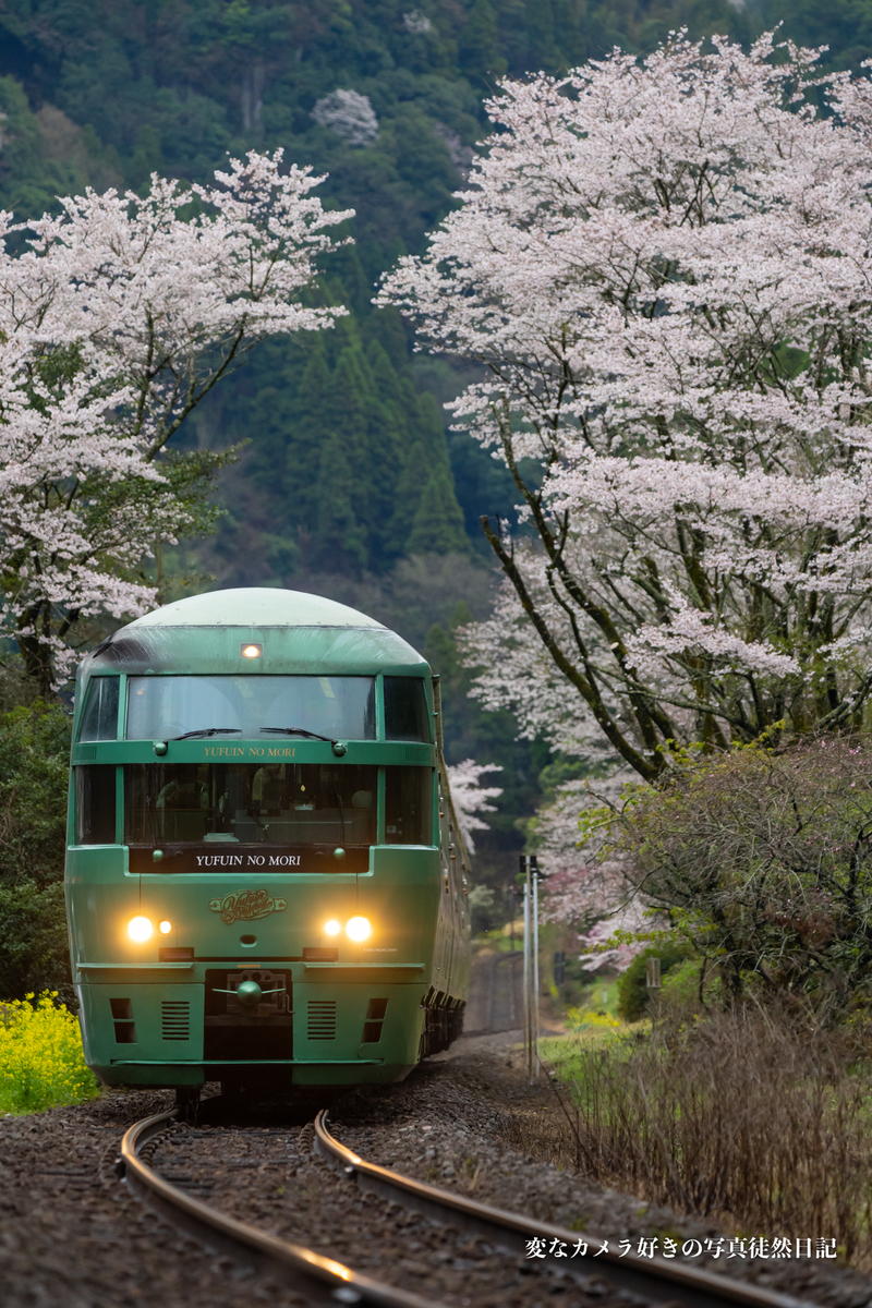 f:id:yuseiphotos:20210331024540j:plain