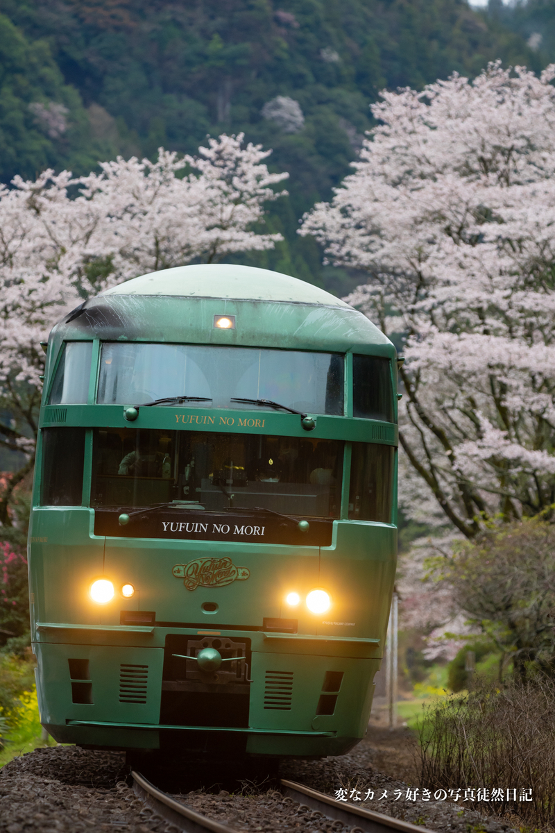 f:id:yuseiphotos:20210331024549j:plain