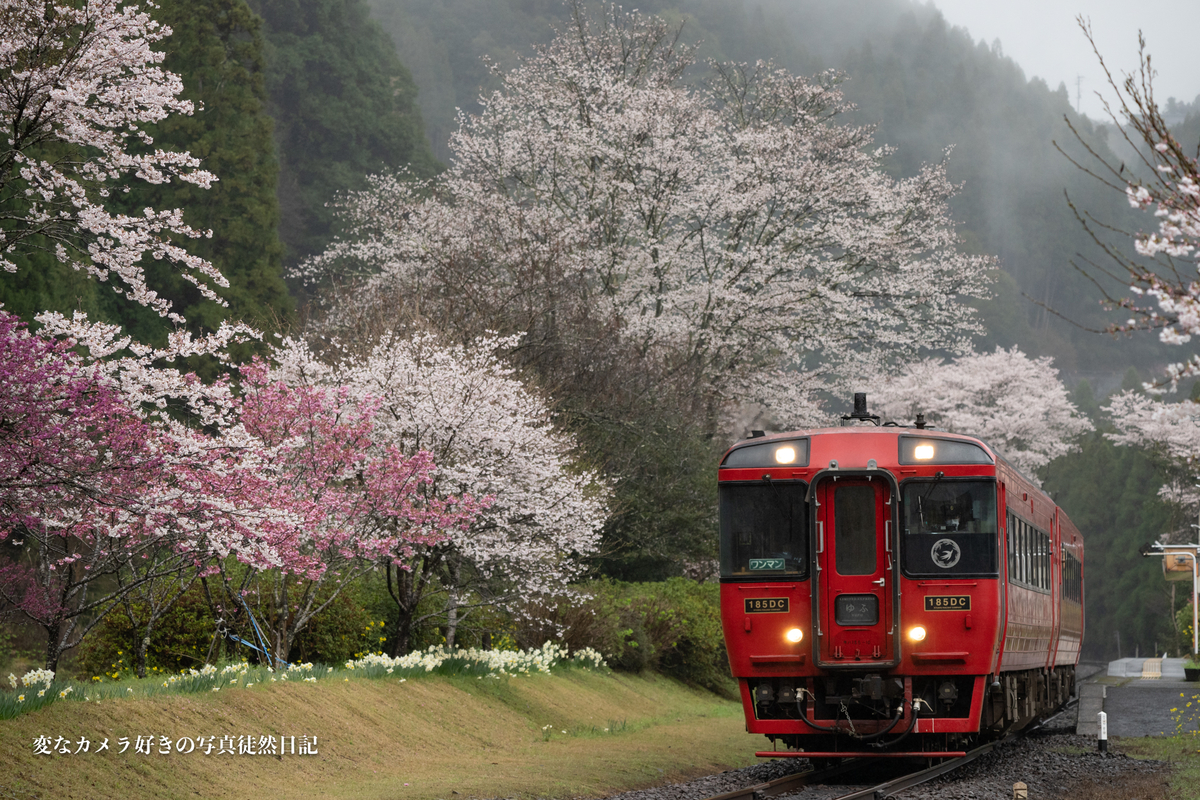 f:id:yuseiphotos:20210331024607j:plain
