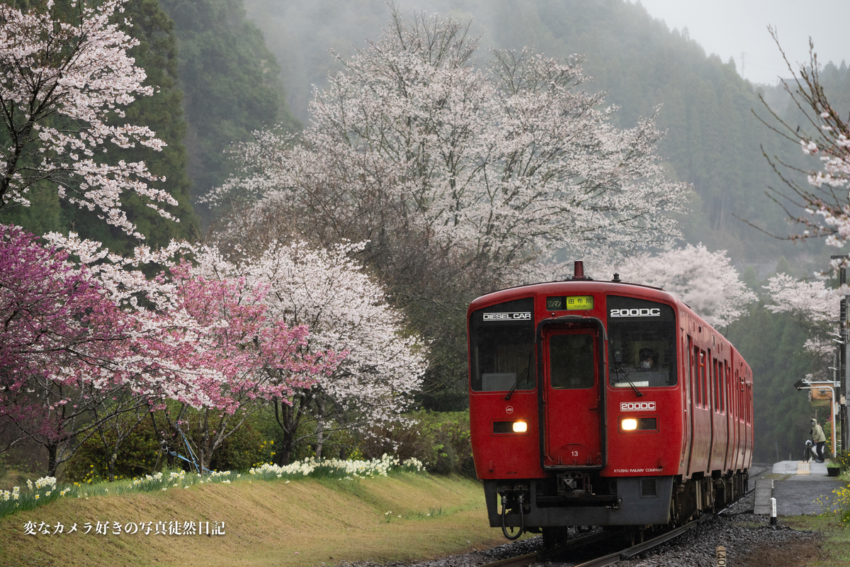 f:id:yuseiphotos:20210331024616j:plain
