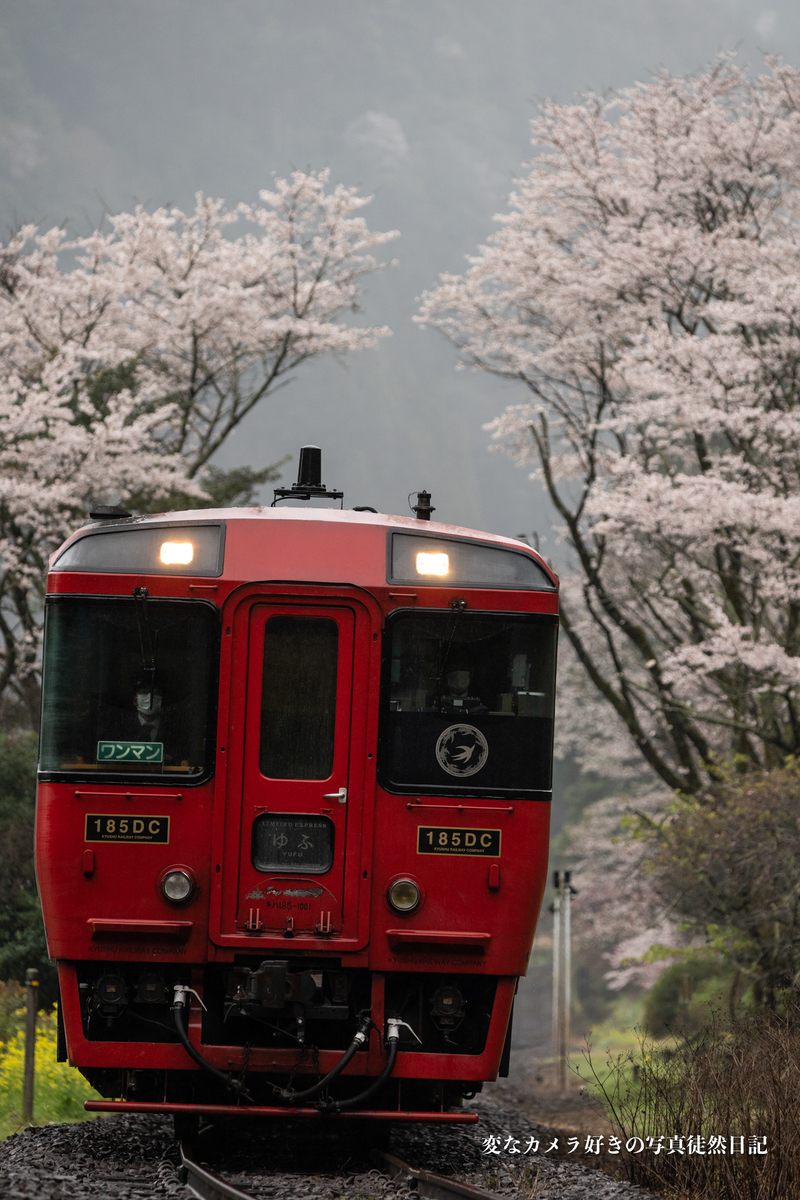 f:id:yuseiphotos:20210331024624j:plain