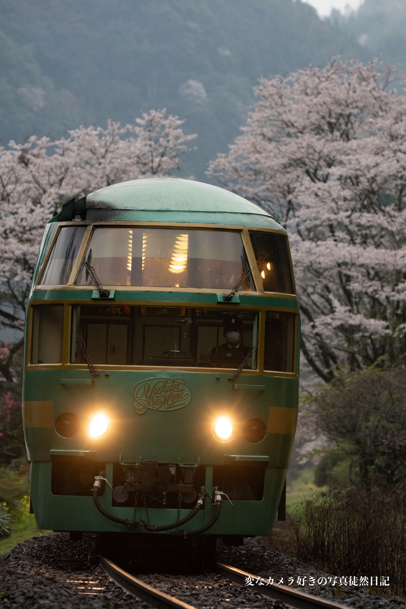 f:id:yuseiphotos:20210403032456j:plain