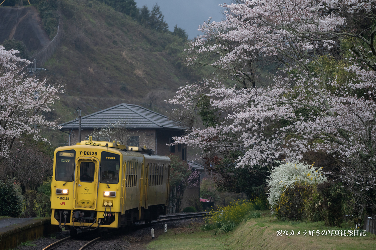 f:id:yuseiphotos:20210403032507j:plain