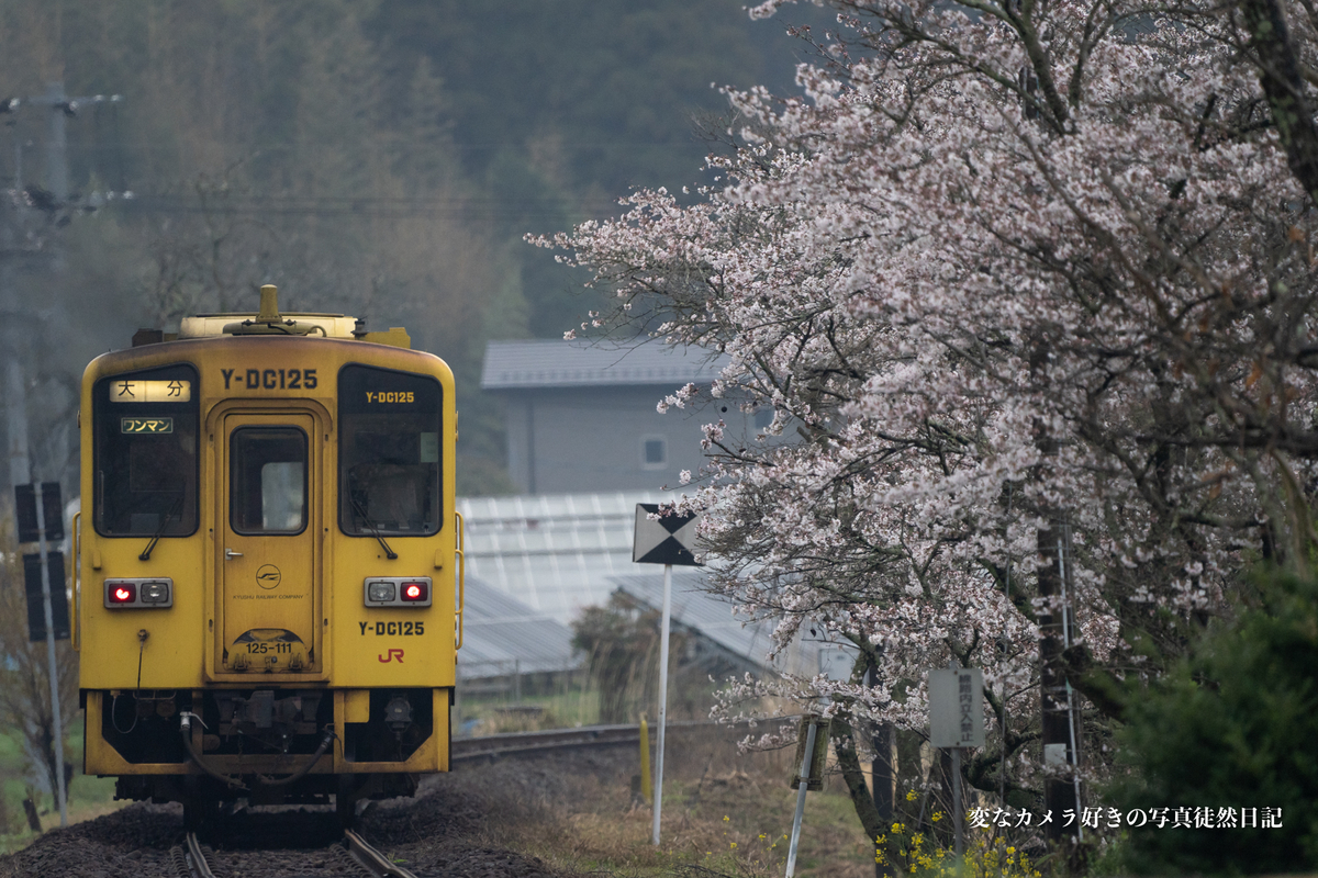 f:id:yuseiphotos:20210403032517j:plain