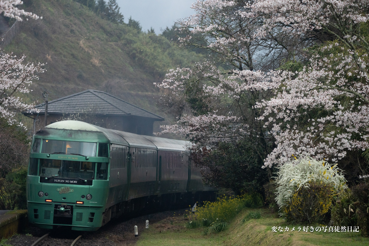 f:id:yuseiphotos:20210403032527j:plain