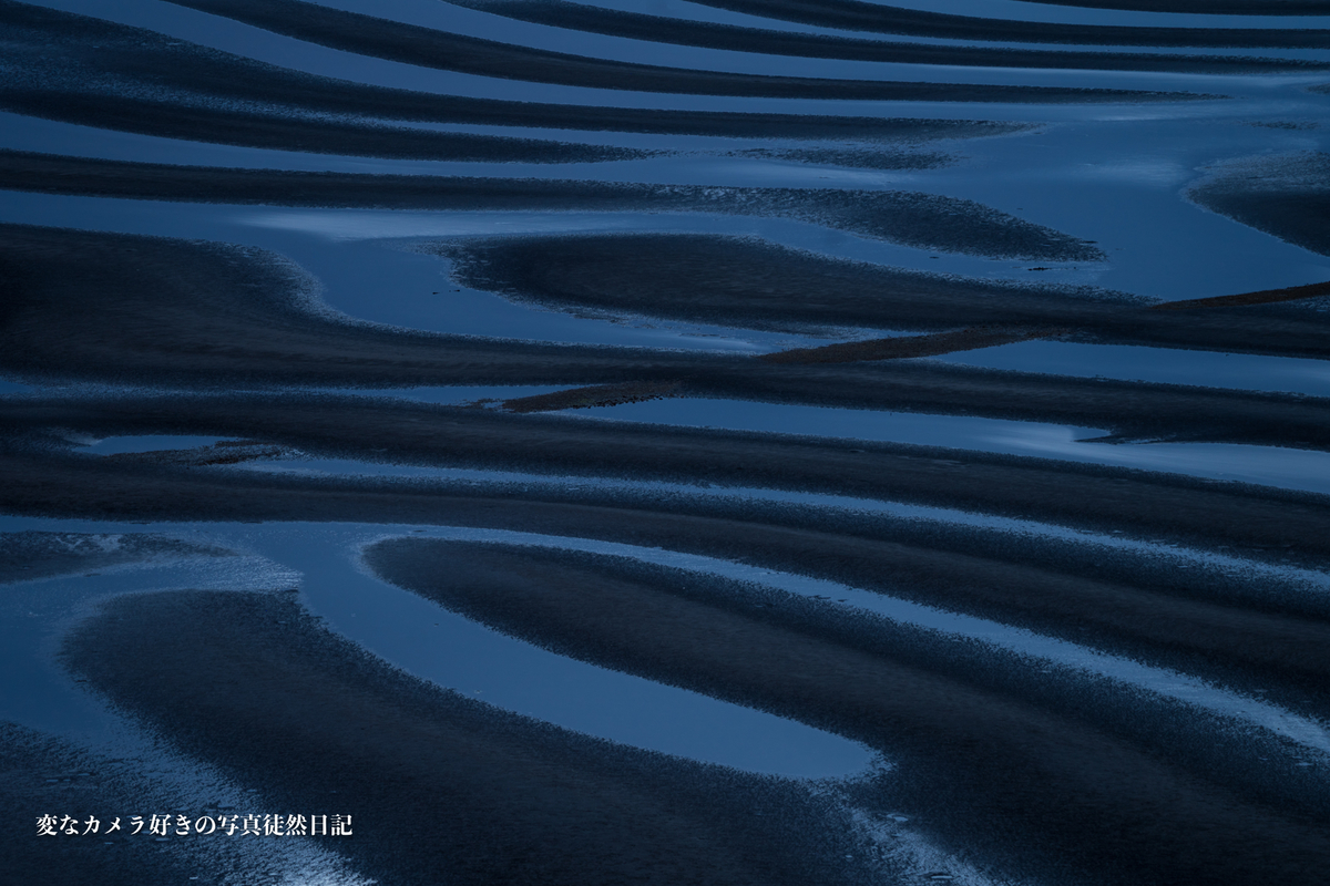f:id:yuseiphotos:20210411230043j:plain