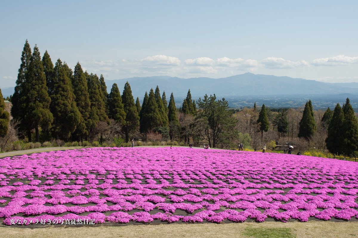 f:id:yuseiphotos:20210417173151j:plain