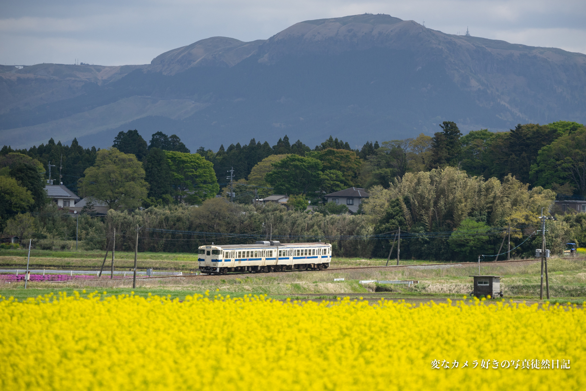 f:id:yuseiphotos:20210426215509j:plain