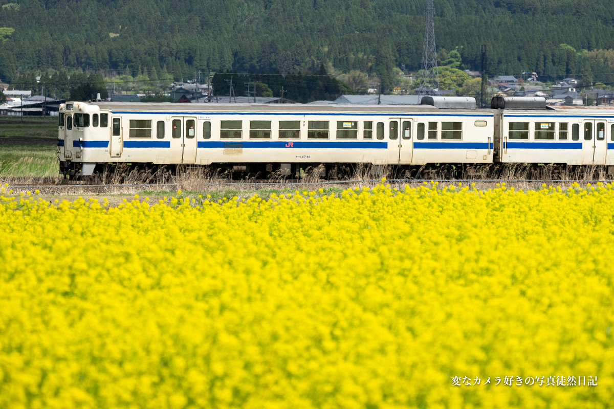 f:id:yuseiphotos:20210426215523j:plain