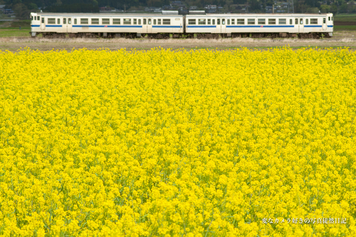 f:id:yuseiphotos:20210426215537j:plain