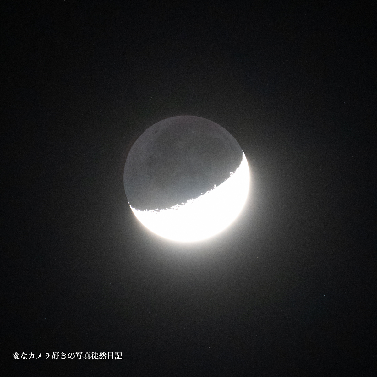 f:id:yuseiphotos:20210429004002j:plain