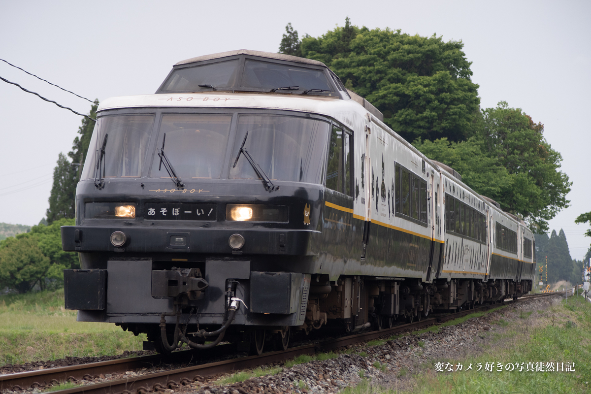 f:id:yuseiphotos:20210515010054j:plain