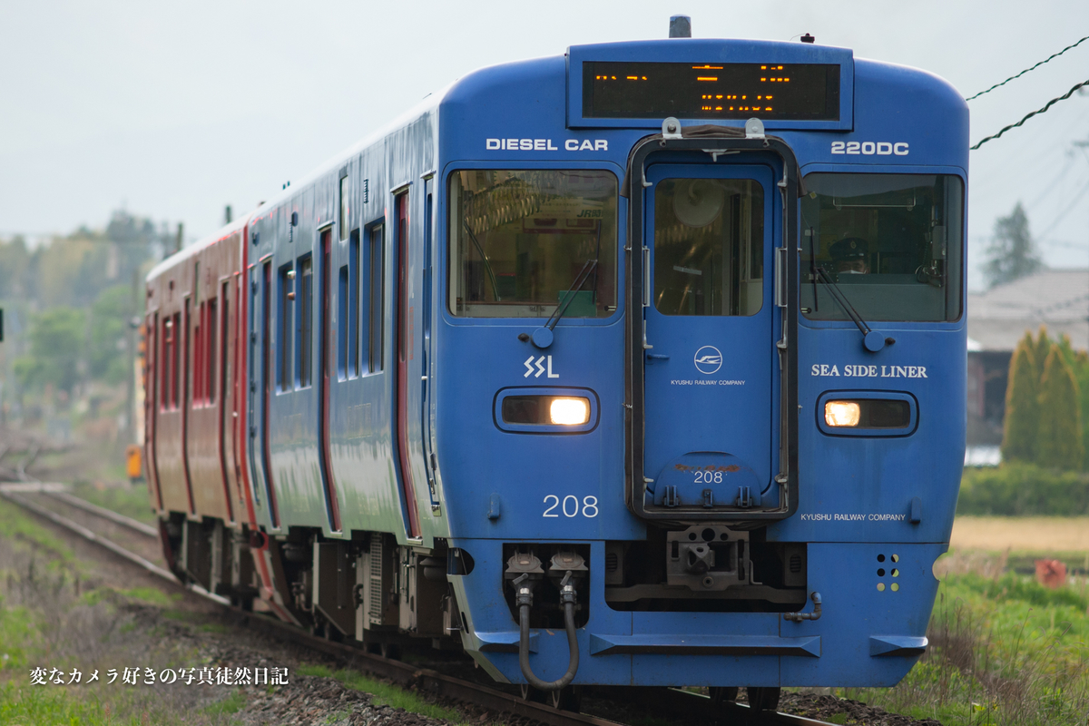 f:id:yuseiphotos:20210515010131j:plain