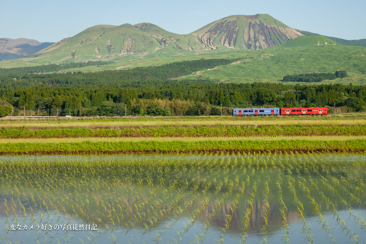 f:id:yuseiphotos:20210528003505j:plain