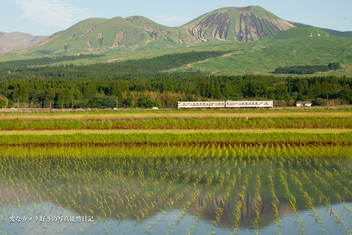 f:id:yuseiphotos:20210528003518j:plain
