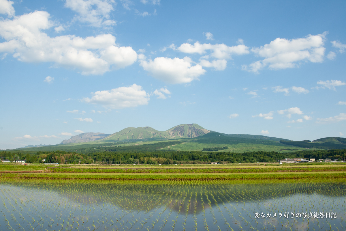 f:id:yuseiphotos:20210528005103j:plain