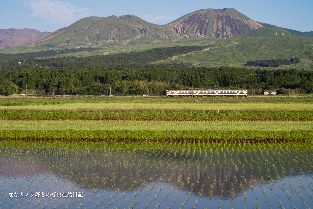 f:id:yuseiphotos:20210528011702j:plain