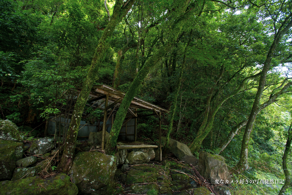 f:id:yuseiphotos:20210610001428j:plain