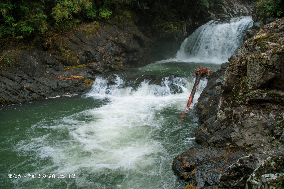 f:id:yuseiphotos:20210610001607j:plain