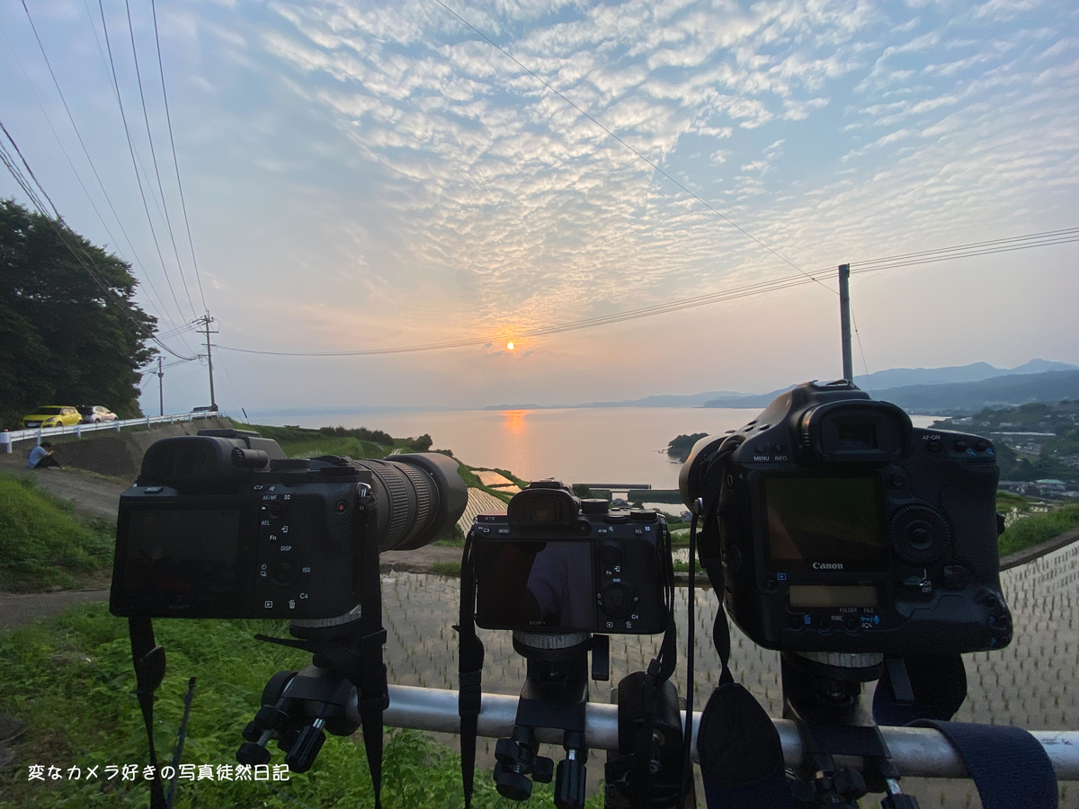 f:id:yuseiphotos:20210630164916j:plain