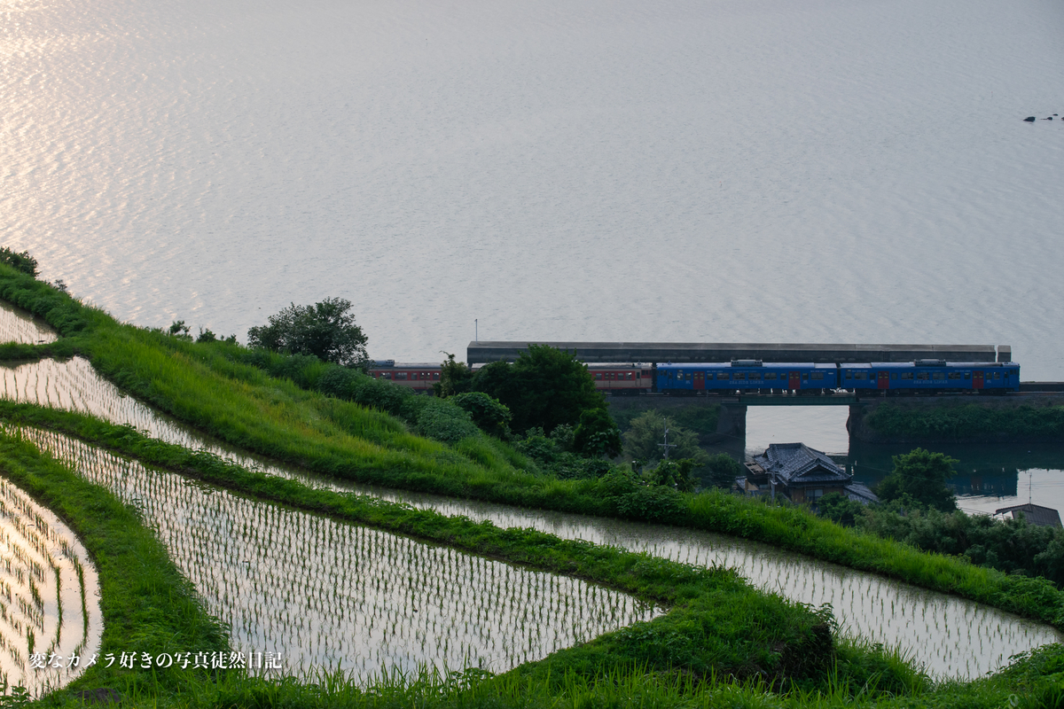 f:id:yuseiphotos:20210711024207j:plain