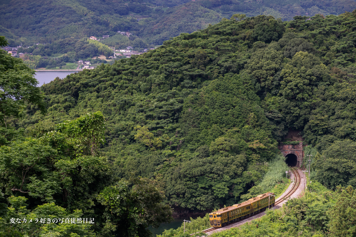 f:id:yuseiphotos:20210727012454j:plain