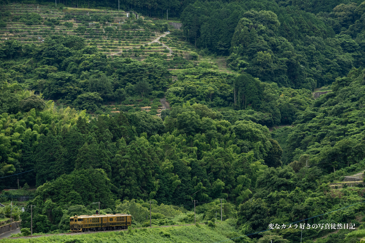 f:id:yuseiphotos:20210727012557j:plain