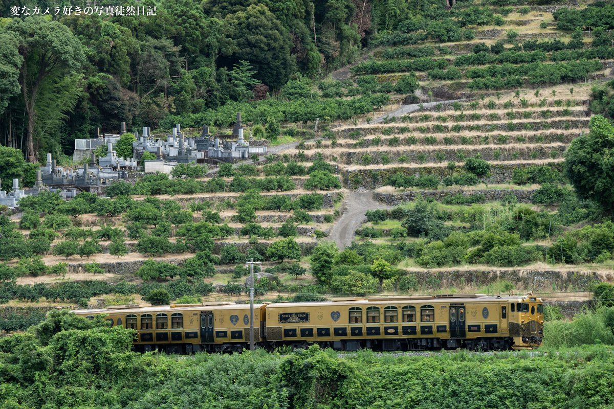 f:id:yuseiphotos:20210727012614j:plain